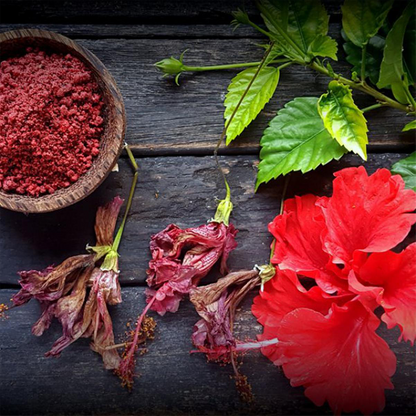 Nature Leaf – Joba Ful Gura / Hibiscus Flower Powder – 100gm