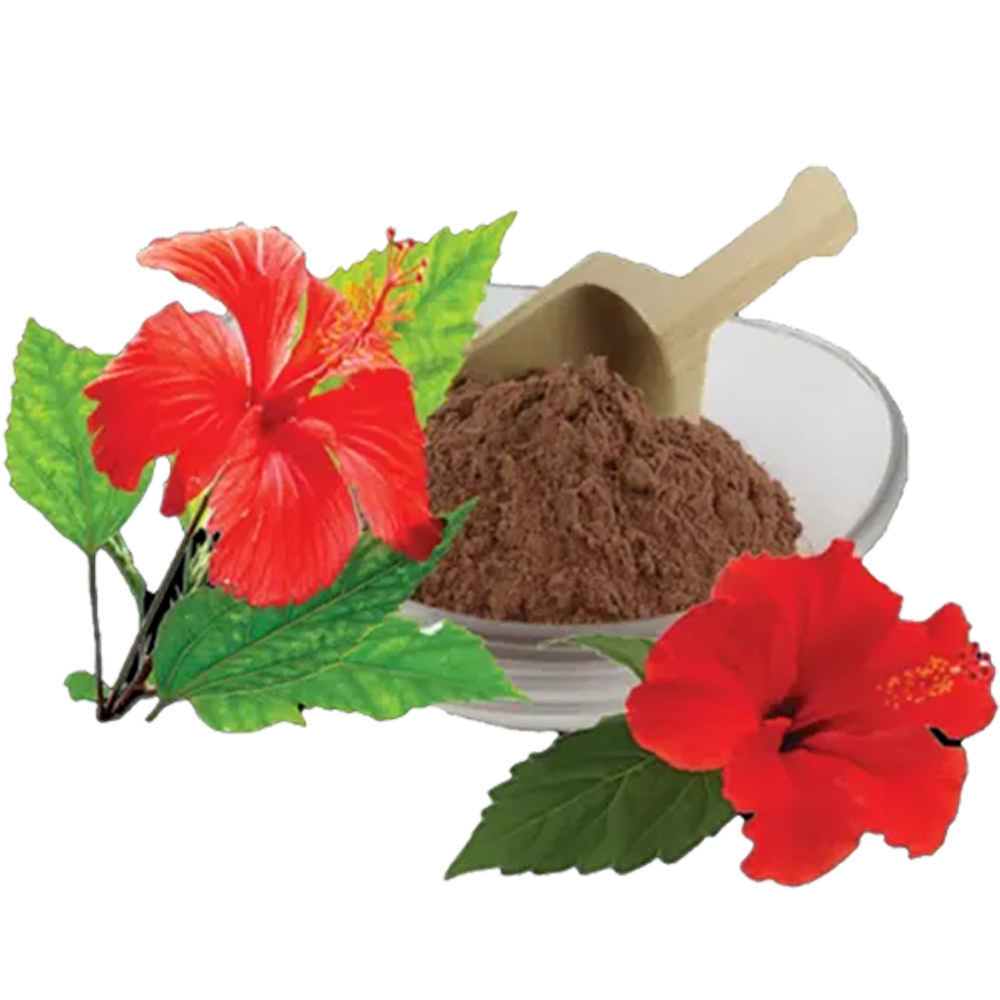 Nature Leaf – Joba Ful Gura / Hibiscus Flower Powder – 100gm